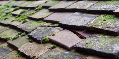 Shepreth roof repair costs